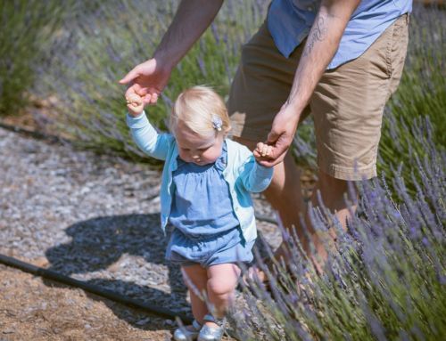 Baby Milestone: Walking